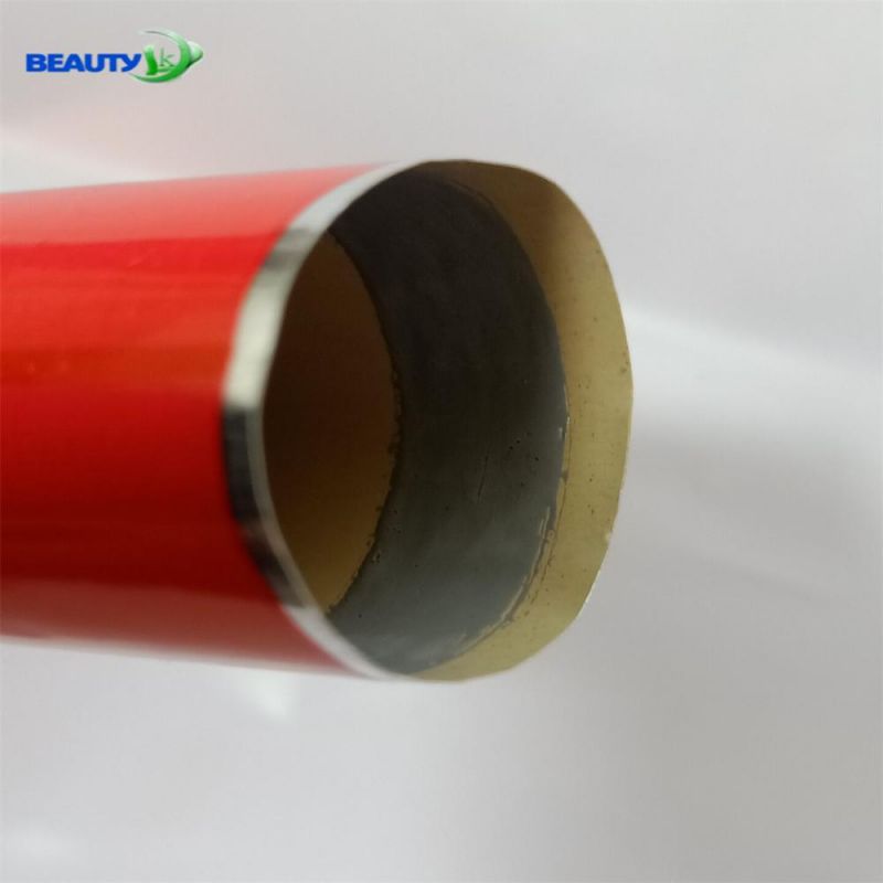 Hot Sell Cosmetic Plastic Soft Tube for Shampoo Facial Cleanser