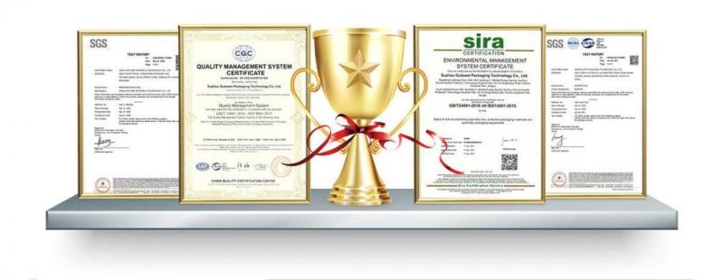OEM Manufacturing Biodegradable Shopping Reusable Advanced Compostable T-Shirt Bags
