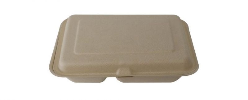 Custom Packaging White Nature Sugarcane Bagasse Lunch Boxes with Lid Food Packaging Box Take Away Food Container