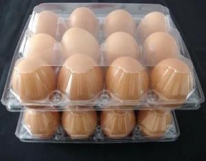 Plastic Biodegrade 12 Eggs Holder Transparent Clamshell Container Box Egg Tray