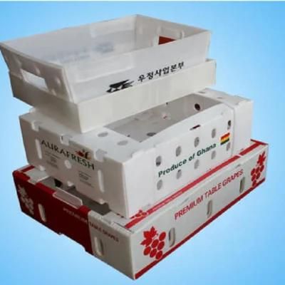 Fresh Fruits Vegetables PP Corrugated Plastic Box