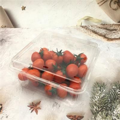 Plastic Clamshell for Food Fruit Packaging