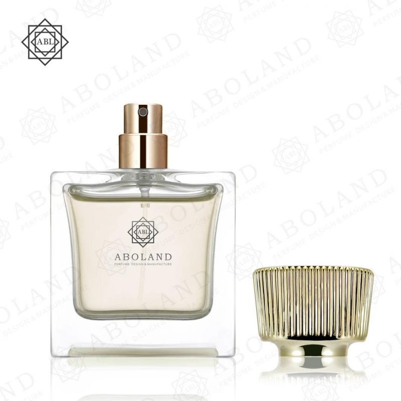 Wholesale OEM ODM 50ml Transparent Empty Square Perfume Bottles