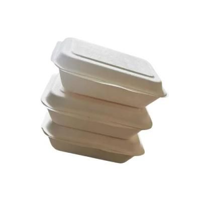 Custom Logo Greaseproof Foldable Sugarcane Bagasse Pulp Packaging Box Wholesale