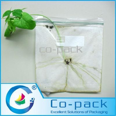 Transparent Plant Bean Seed Plastic Bag with Zipper