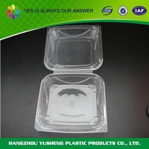 Blister Disposable Plastic Pastry Container