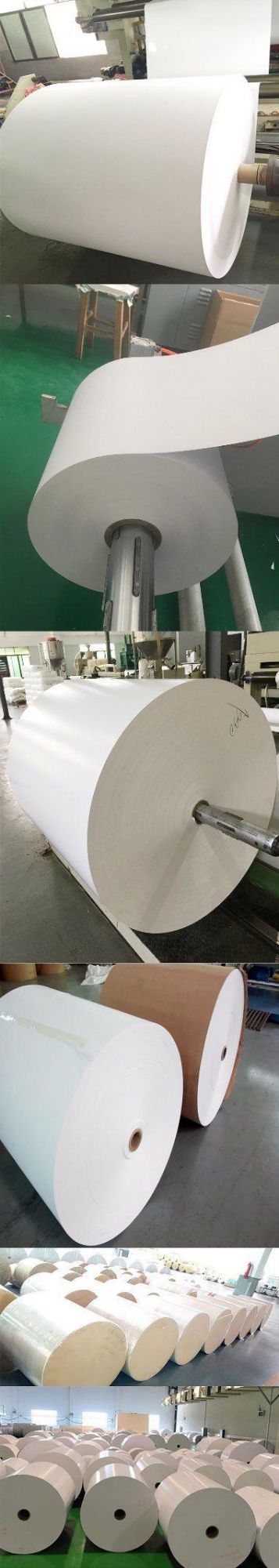 Single Side Food Grade PE Coated Table Cloth Paper