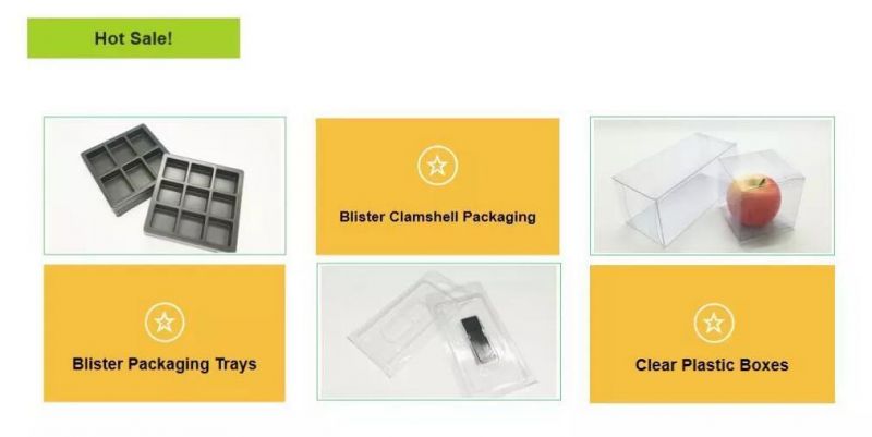 Hot Sale Customized Plastic Clear Clamshell Blister Packaging