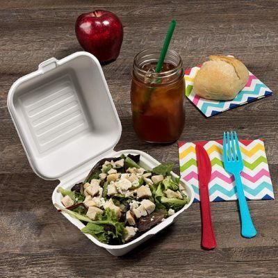 Biodegradable Sugarcane Clamshell Bagasse Food Box for Sandwich Burger Cake Lunch