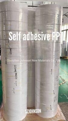Waterproof Coated PP Synthetic Paper in Roll for Printing