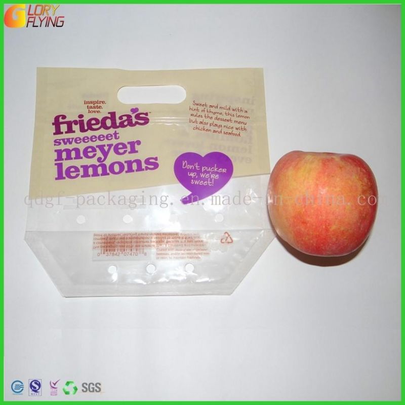 Plastic Perforation Grape Fruit Bags with Zipper and Excellent Printing