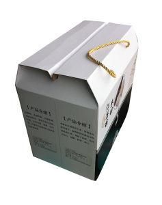 High Quality Printing Handle Paper Gift Box (YY-H0001)