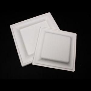 Factory Disposable Biodegradable Sugarcane 6 Inch Pulp Paper Square Plates