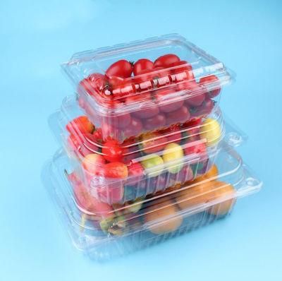 Clear universal PET Fruit and Food Container with EU regulation