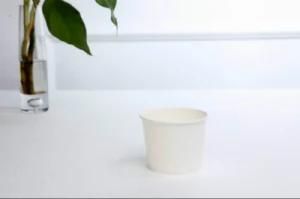 White Disposable Paper Bowl for Frozen Yogurt