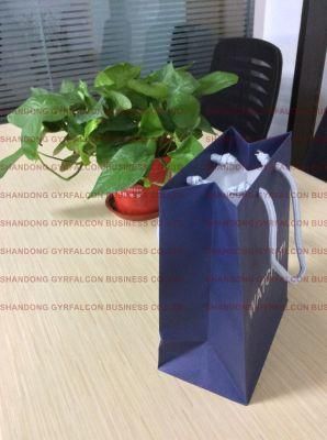 High Quantity Shopping Paper Bag for Clothing/Gift/Shoes/Jewelry/Festival Usage
