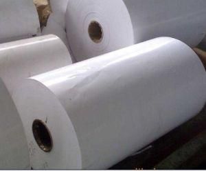 Single Side PE Coated Paper for Packaging