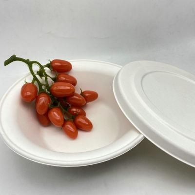 Biodegradable Sugarcane Bagasse Bowl 1000ml with Bagasse Lid