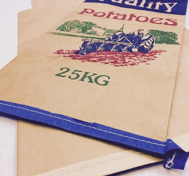 Customized White Kraft Paper Sacks with PP Woven Fabric Coated Sewing Bottom Kraft Paper Bags, Charcoal Bag