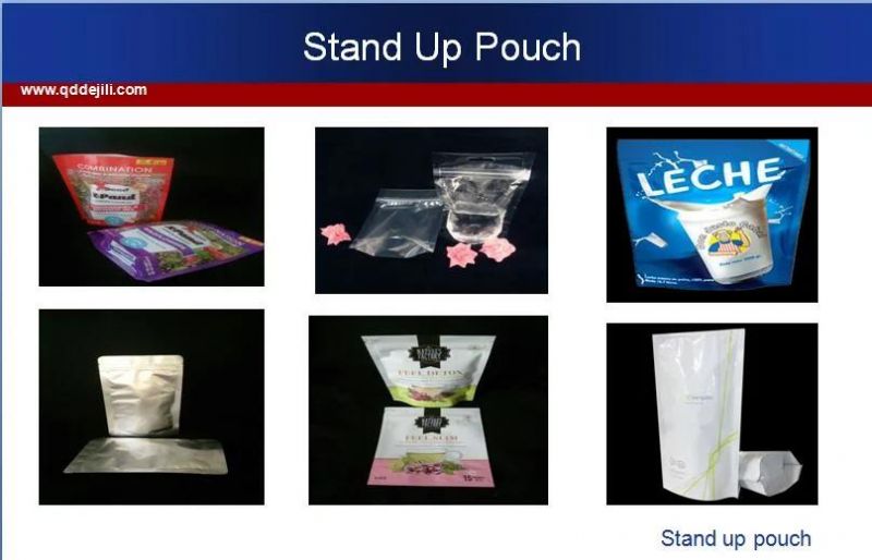 Hot Selling Plastic Bag/Stand up Sealing Bags Food Grade with Zipper and Tear Notches/Clear Windows