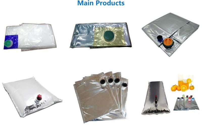 1000L Aseptic Packaging and Sterilization Bags for Fruit Juice and Fresh Food