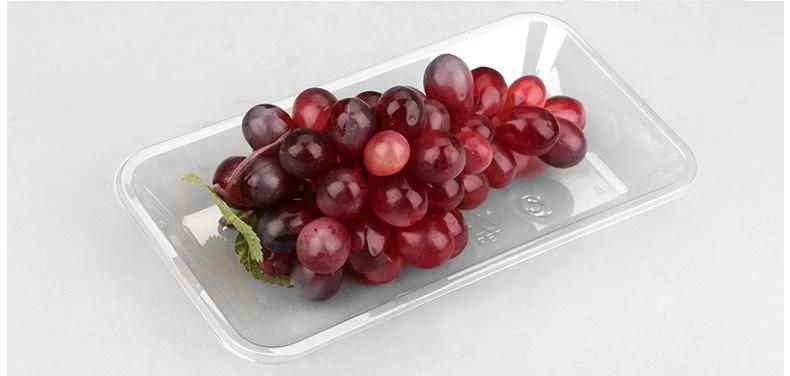 wholesale rectangular packaging plastic tray for fruit