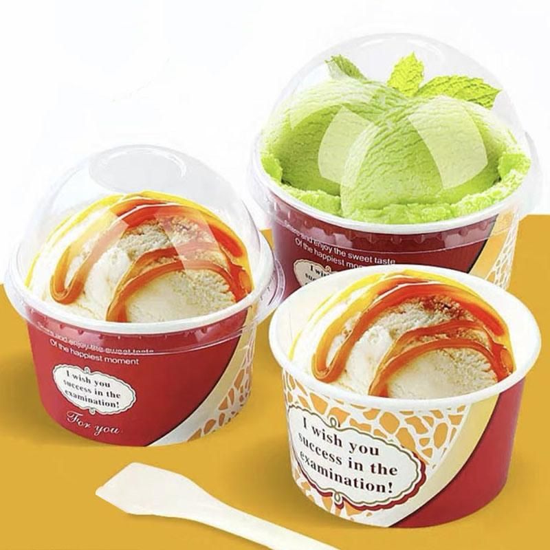 Sundae Scoop Ice Cream PE Lined Inside & Outside Containers with Spoon
