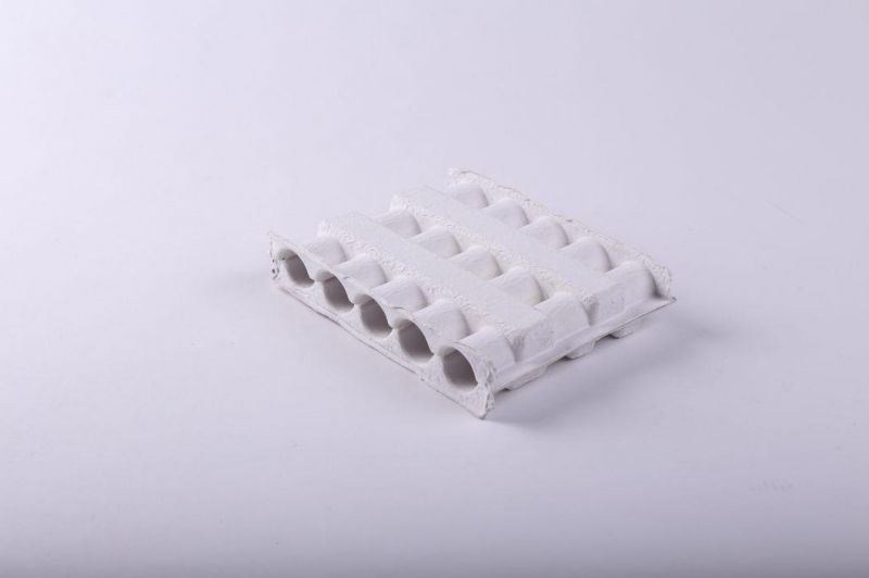 Sugarcane Bagasse Packaging Light Molded Pulp Tray Manufacturer