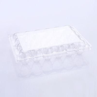 Wholesale Disposable Clear Plastic Duck Egg Tray/Box/Carton