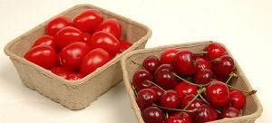 Keding Fresh Fruit Basket for Strawberry Tomato Apple / Pulp Fruit Tray