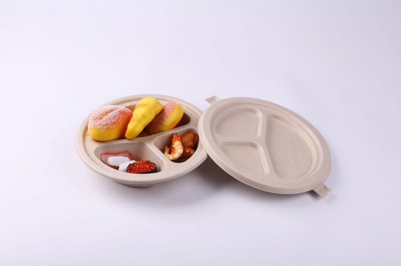 Molded Pulp Biodegradable Packaging Box with Tray