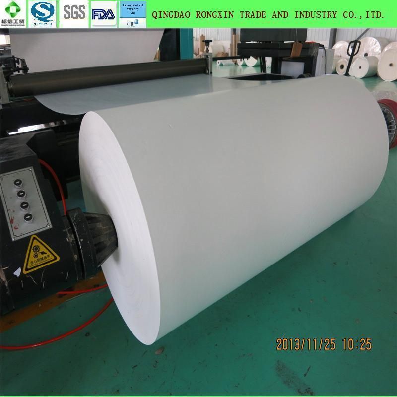 PE Coated Paper for Drier Sachet Bag Packaging in Roll