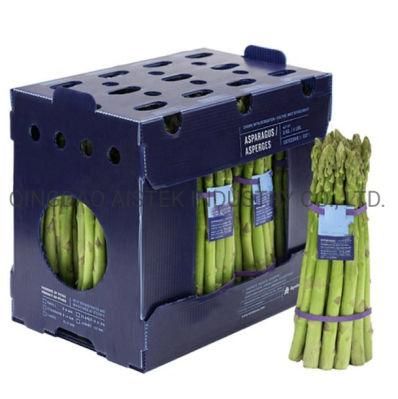 Reusable Coroplast Box for Fruit Vegetable Packing