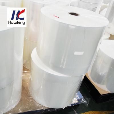 Plastic Packaging Film or Bag for Leisure Food Storage Bags