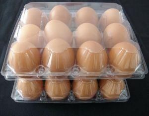Biodegrade Plastic Eggs Container Box Packing Tray Transparent Clamshell Eggs Crate 12 Cells