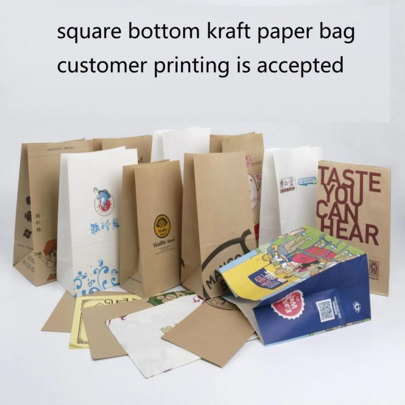 Cat Litter Packing Plastic Bag Stand up Zipper Mylar Bag