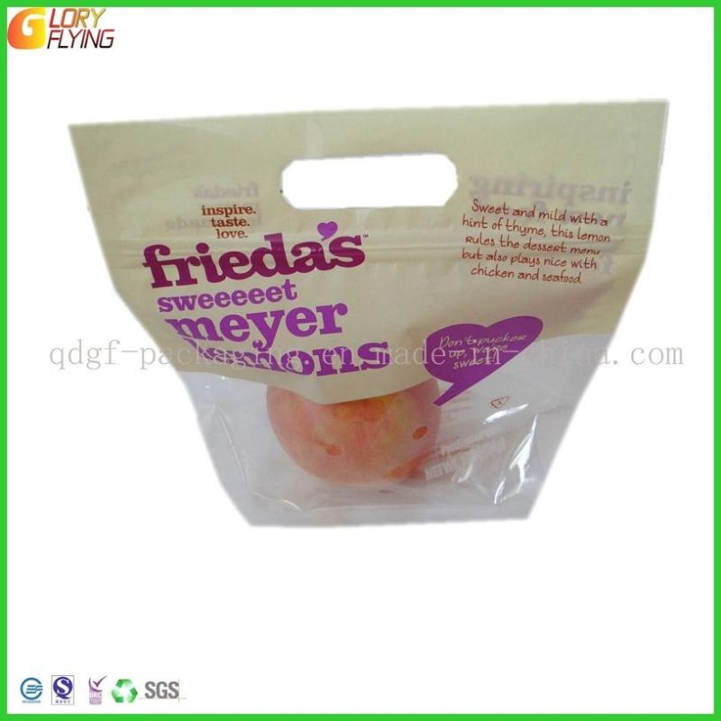 Stand up Fresh Fruits Plastic Food Packaging Bag/Zipper Bag with Perforation