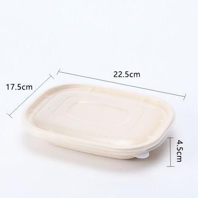 Supplying Biodegradable Food Container with Clear or Bagasse Lids
