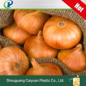 PP Packaging Plastic Net PP Leno Mesh Bag for Vegetable Potato/Onion