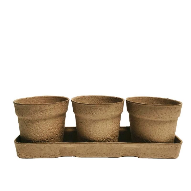 Biodegradable Paper Plant Cup Pulp Gardening Plant Pot Seedling Germination Seed Flower Cup with Pulp Base