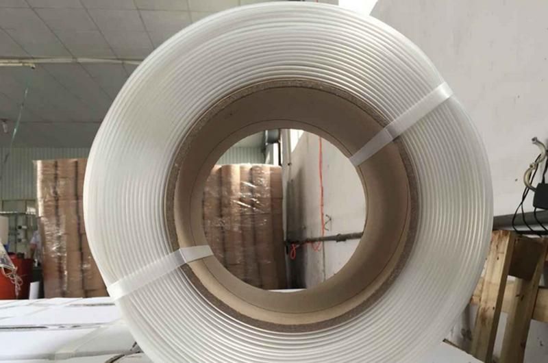 High Tenacity Polyester Composite Cord Strap for Cargo Lashing