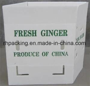 Corflute Fruit Box with Silk Screen Printing/PP Folding Box/PP Corrugated Box 3mm 4mm 5mm