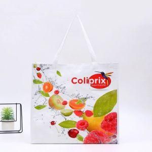 Custom Woven Plastic Color Printing Bag with Handle