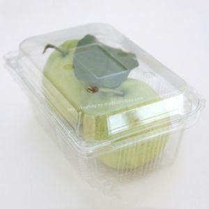 Transparent PVC Blister Packaging Clamshell/Plastic Folding Box with Lid