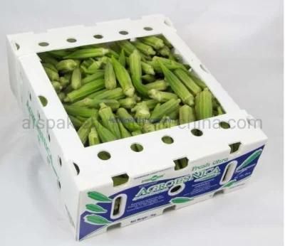 Vegetable Packing PP Twin Wall Hollow Plastic Box