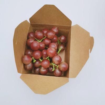 Biodegradable Disposable Kraft Paper Box for Take out