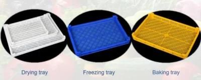 Large Plastic Herb Freezing and Drying Tray