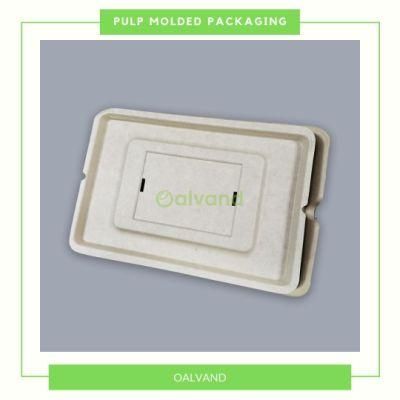 Customized Disposable Sugarcane Bagasse Pulp Molded Cosmetic Packaging Liner