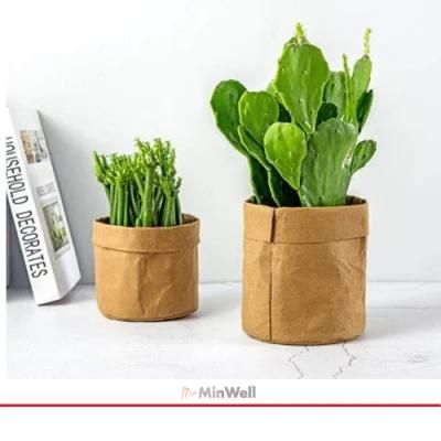 Minwell Washable Kraft Paper Bag Reusable Plant Flowers Pots, Storage Packaging Bag for Bread Cosmetics Jewelry Stationery