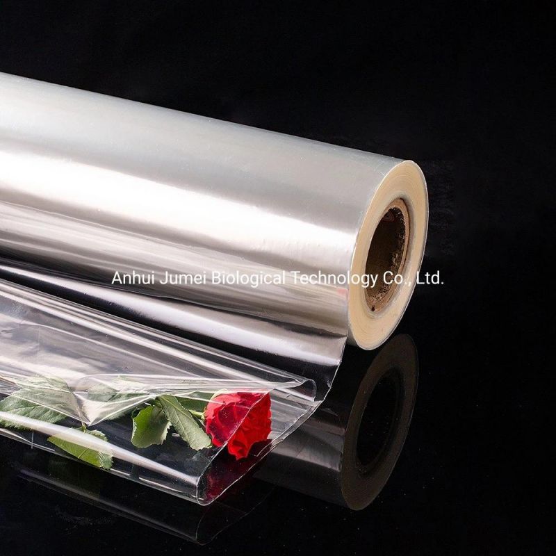Biodegradable Garment Bags PLA Pbat Compostable Garment Packaging Bags